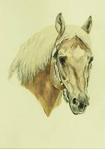 Quarterhorse Aquarellportrait