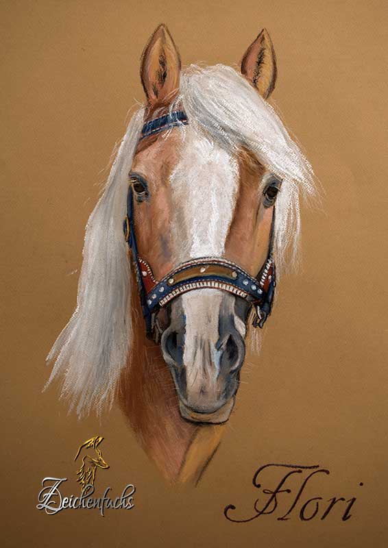 Pastellportrait eines Pferdes