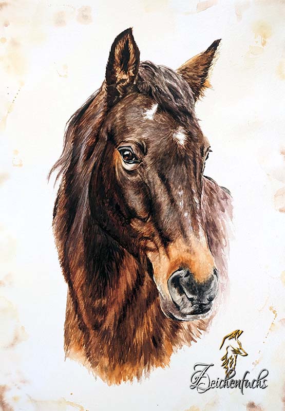 Aquarell-Pferd-Zeichenfuchs