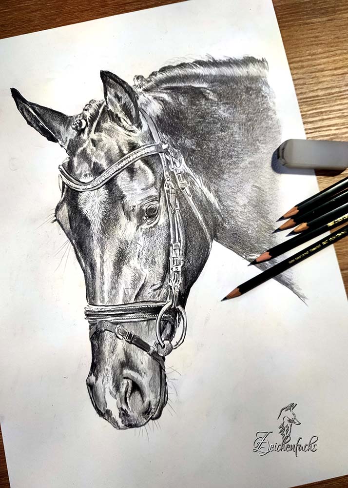 Pferdeportrait in der Bleistifttechnik